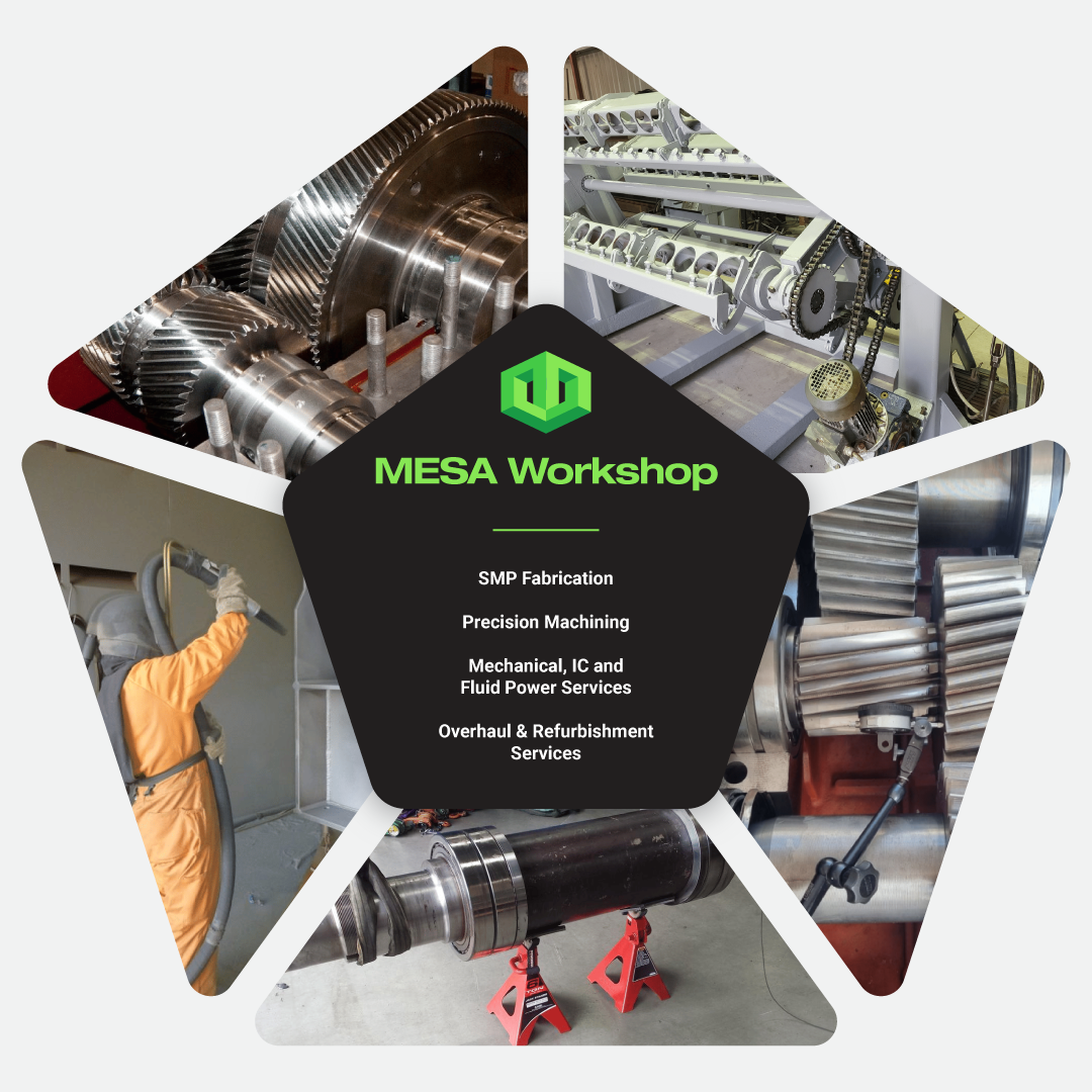 MESA Workshop